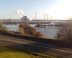 shannonbridge cap-1825.jpg